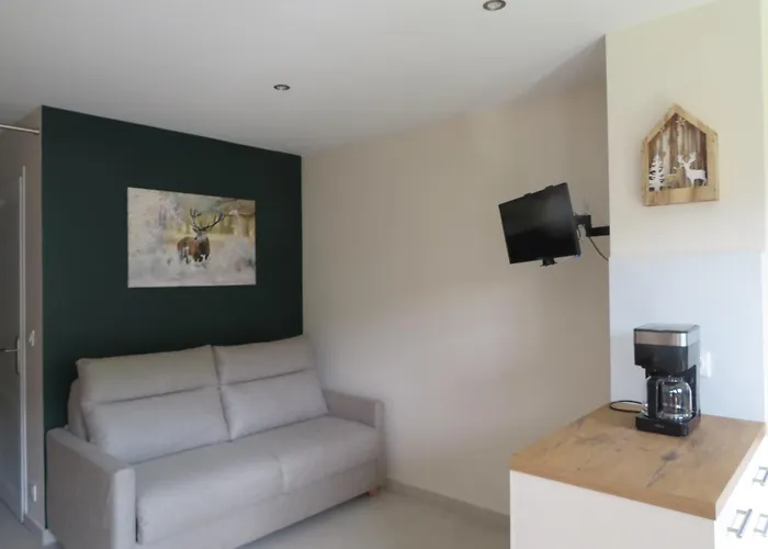 Magnifique Appartement Megève